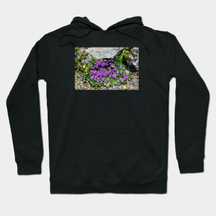 Mountain flowers Switzerland bumblebee / Swiss Artwork Photography Hoodie